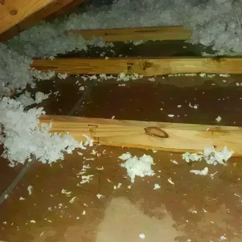 Attic Water Damage in Lincoln County, AR