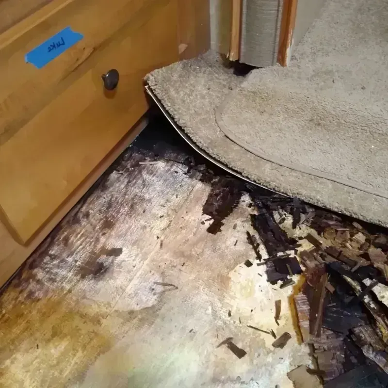 Wood Floor Water Damage in Lincoln County, AR